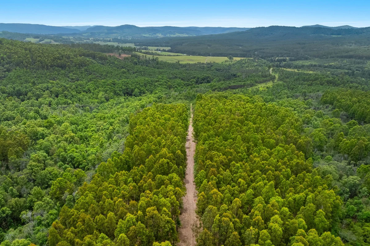 Additional image 18 of 18 Ryans Road, Bonalbo NSW 2469