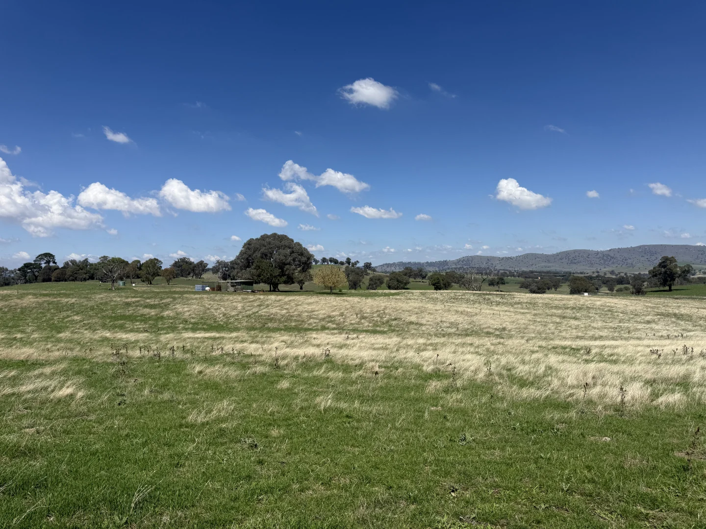 Additional image 3 of Camerons Hill Lot 17 Reynolds Lane, Binalong NSW 2584
