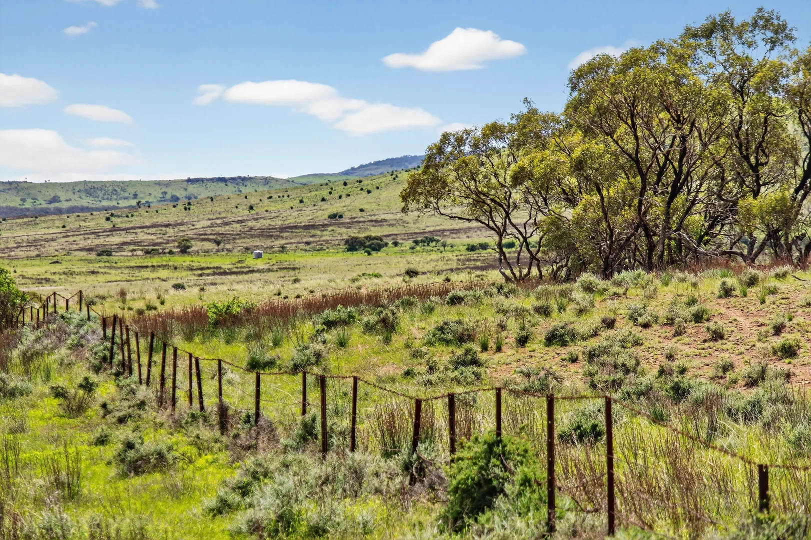 Additional image 6 of 'Ferguson' Philps Road, Minvalara SA 5422