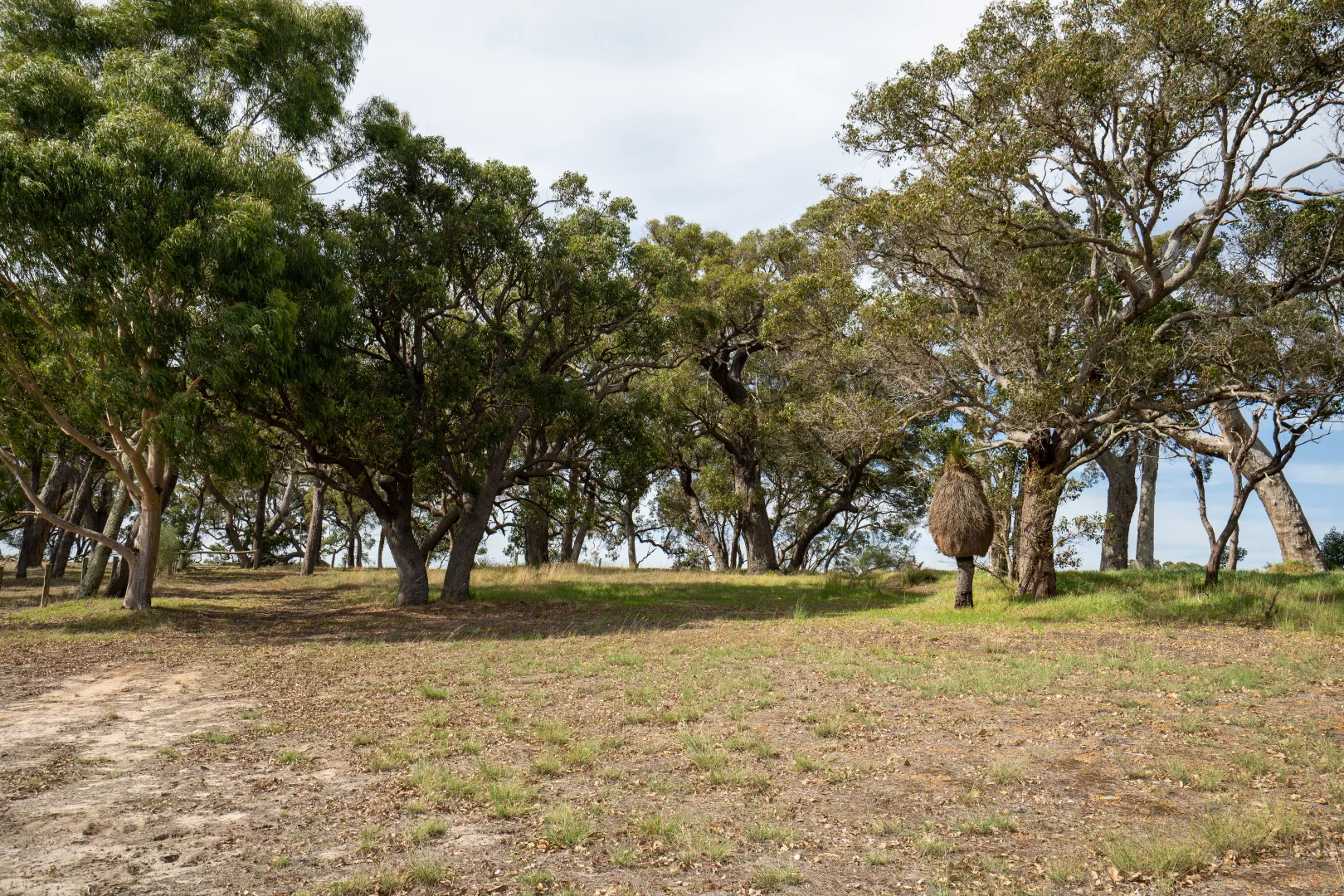 Additional image 31 of 2099 Yellanup Road, Porongurup WA 6324