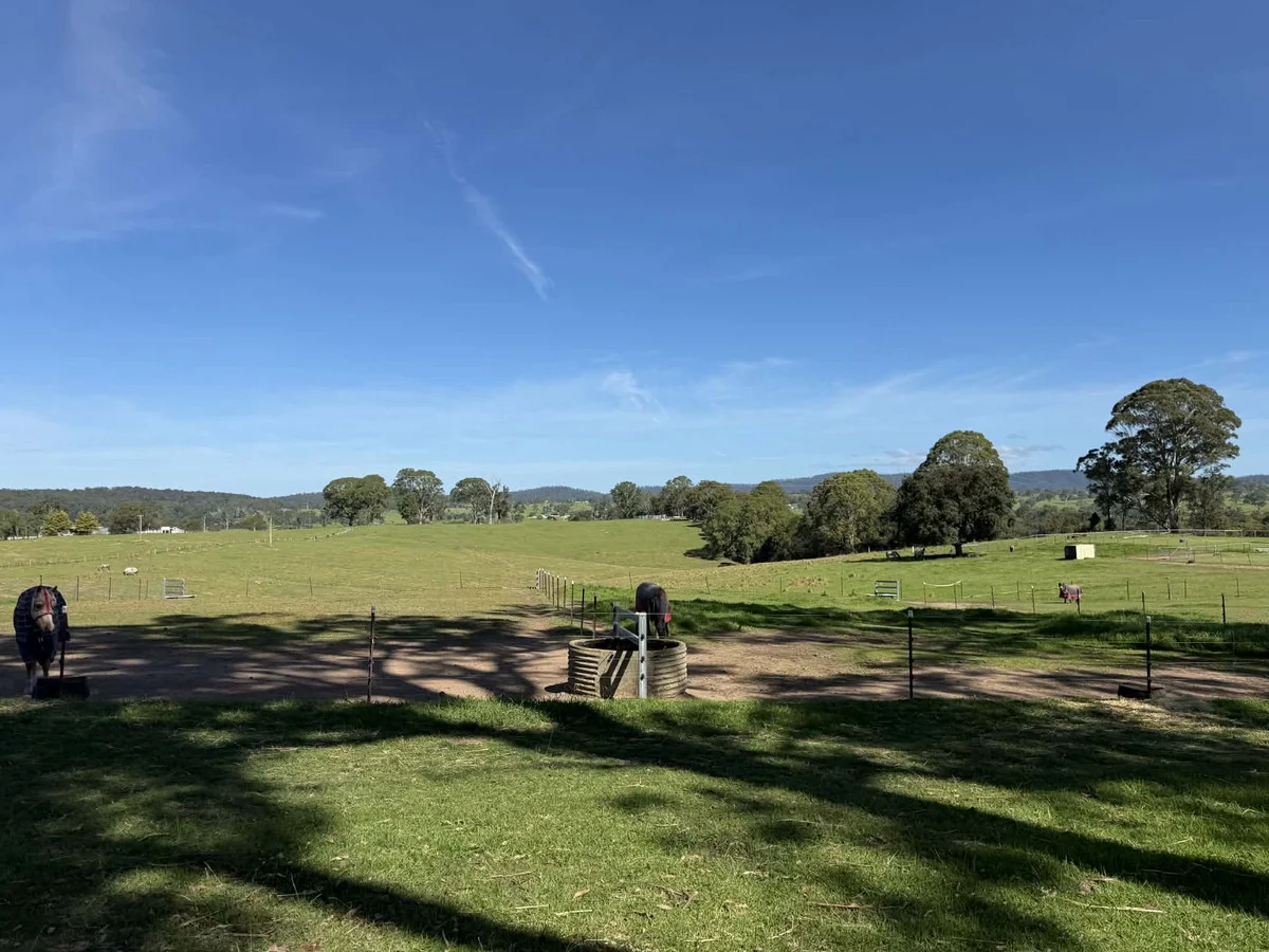 Additional image 7 of 46 Jersey Place, Cobargo NSW 2550
