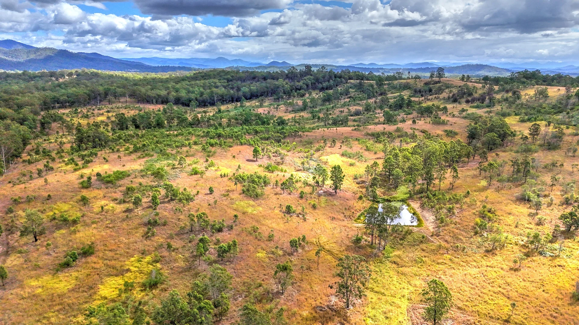 Additional image 5 of Lot/101 & 99 Silverwood Ave, Temagog NSW 2440
