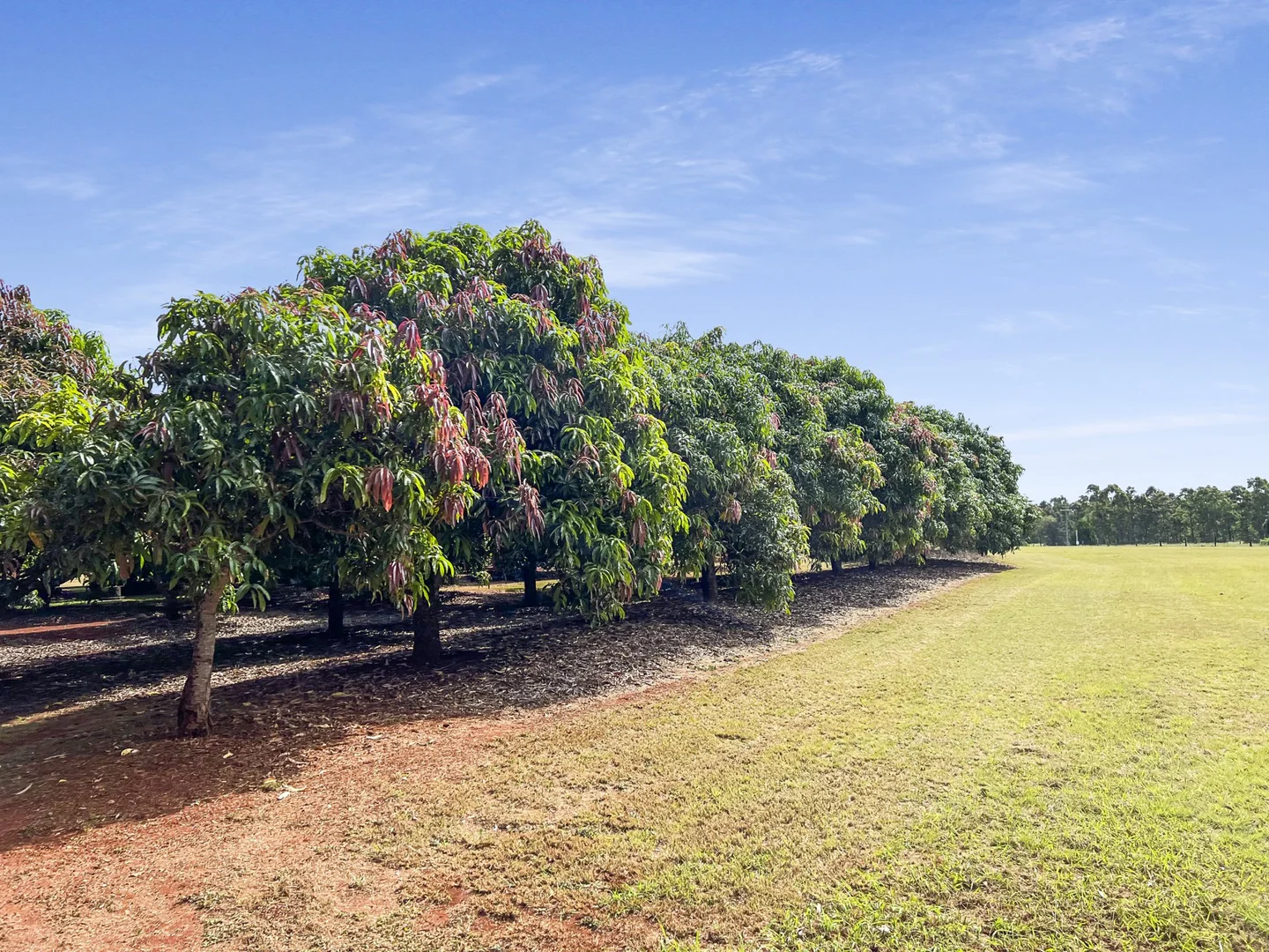 Additional image 17 of Lot 2 Birds Road, Tingoora QLD 4608