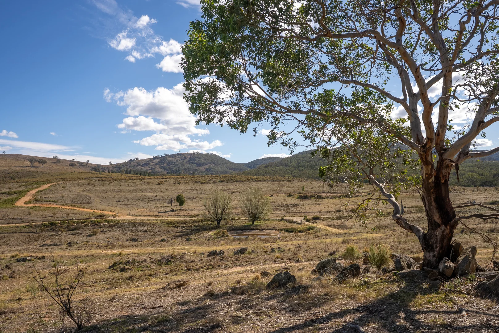 Additional image 6 of 'Warra Creek' 652 Killongbutta Road, Killongbutta via, Bathurst NSW 2795