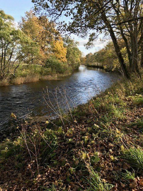 Additional image 4 of Land for saleRiver South Esk, Finavon, Angus DD8