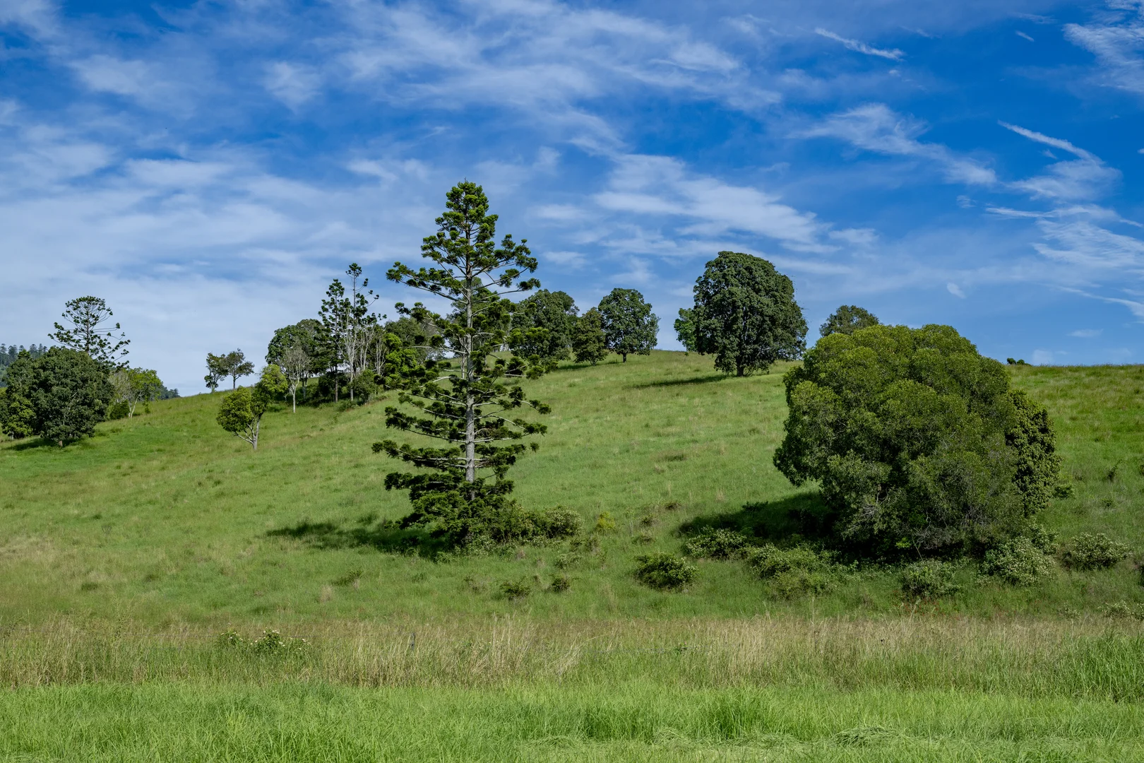Additional image 5 of 4199 Esk Kilcoy Road, Hazeldean QLD 4515