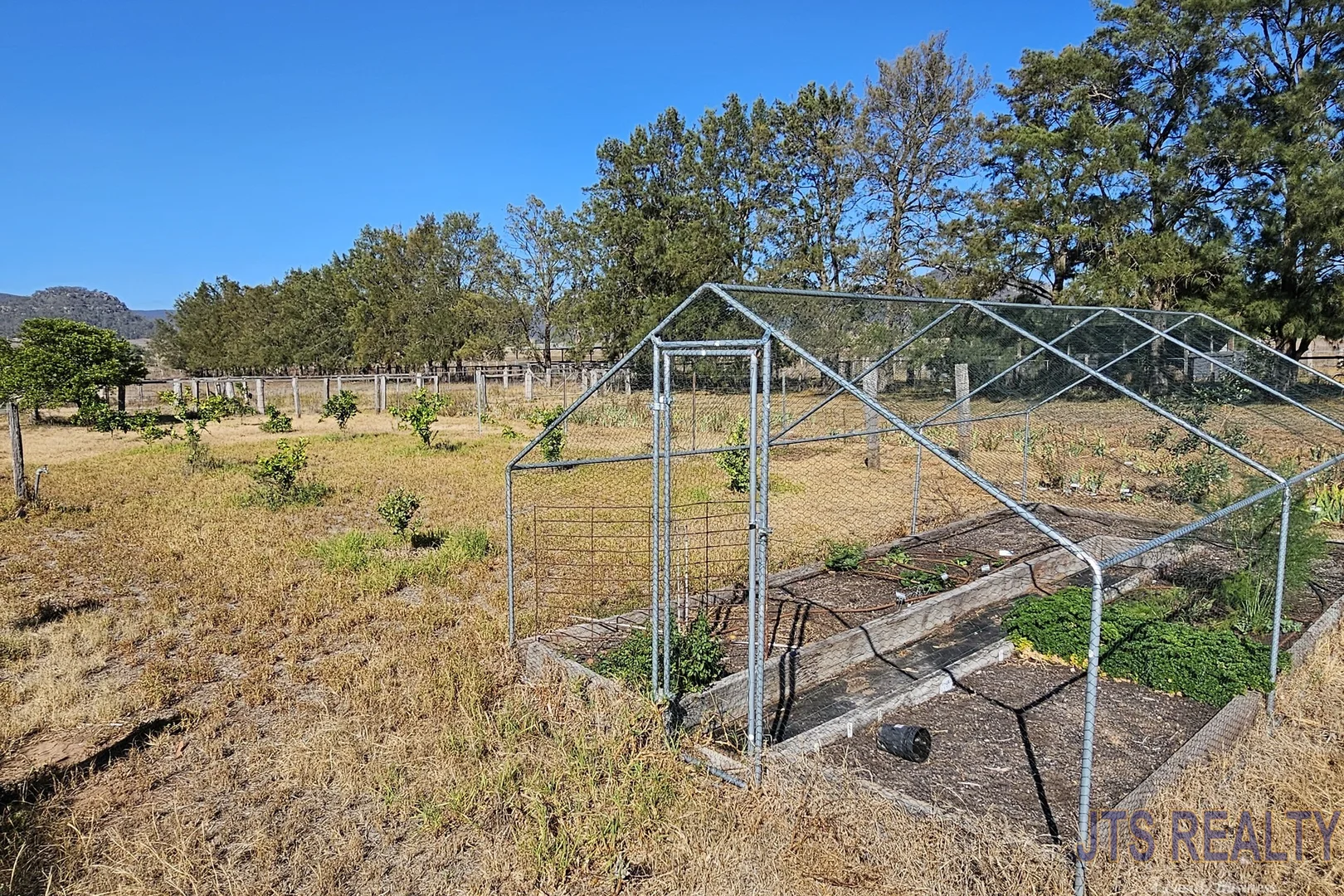 Additional image 16 of 197 Mount Dangar Road, Baerami NSW 2333