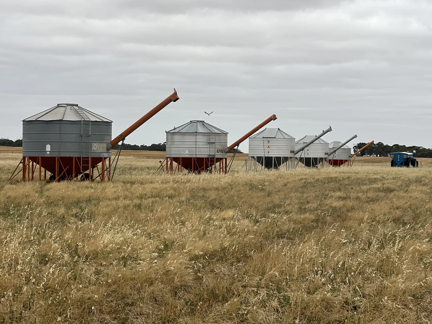 Additional image 19 of 1412 Red Bluff Road, Bordertown SA 5268
