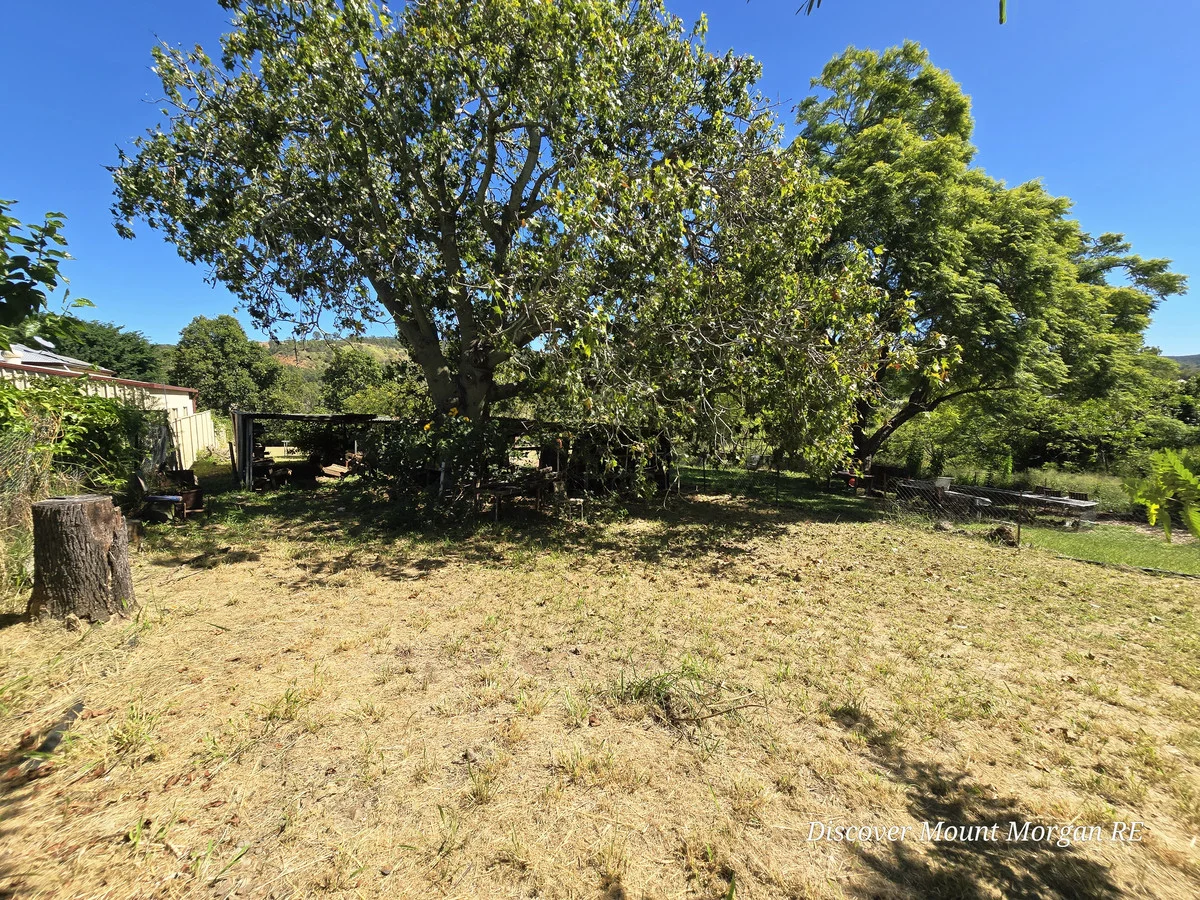Additional image 20 of 12 James Street, Mount Morgan QLD 4714