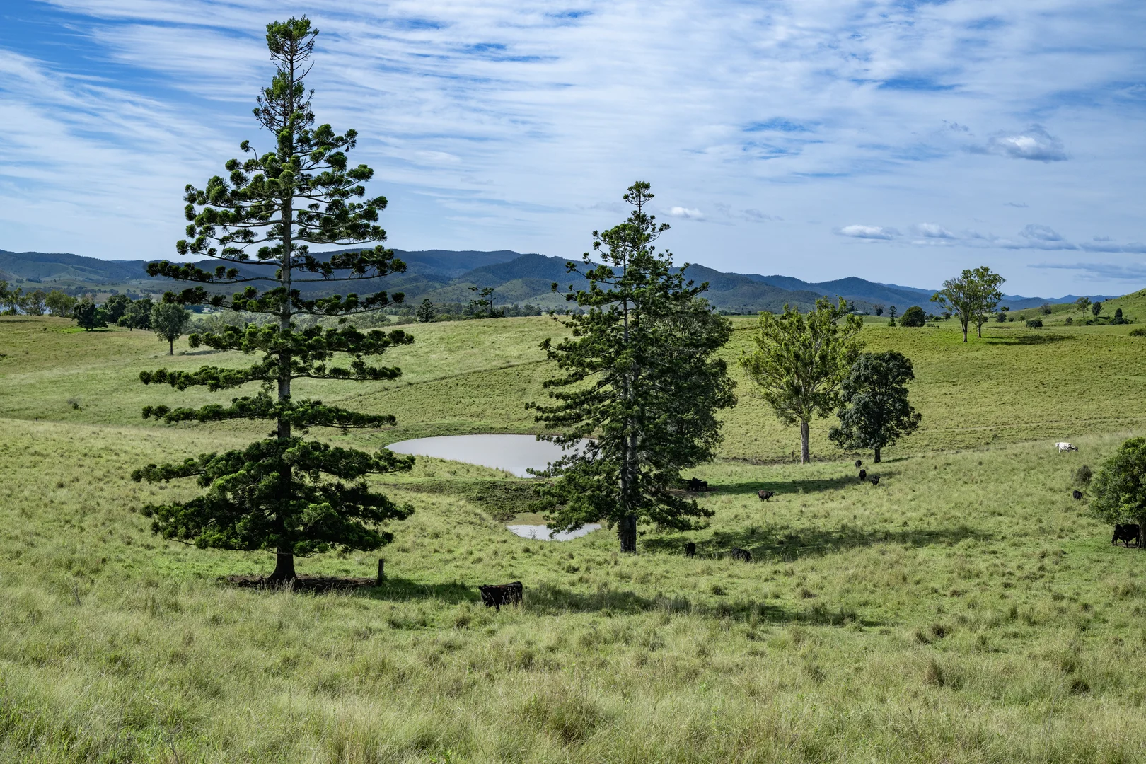 Additional image 28 of 4199 Esk Kilcoy Road, Hazeldean QLD 4515