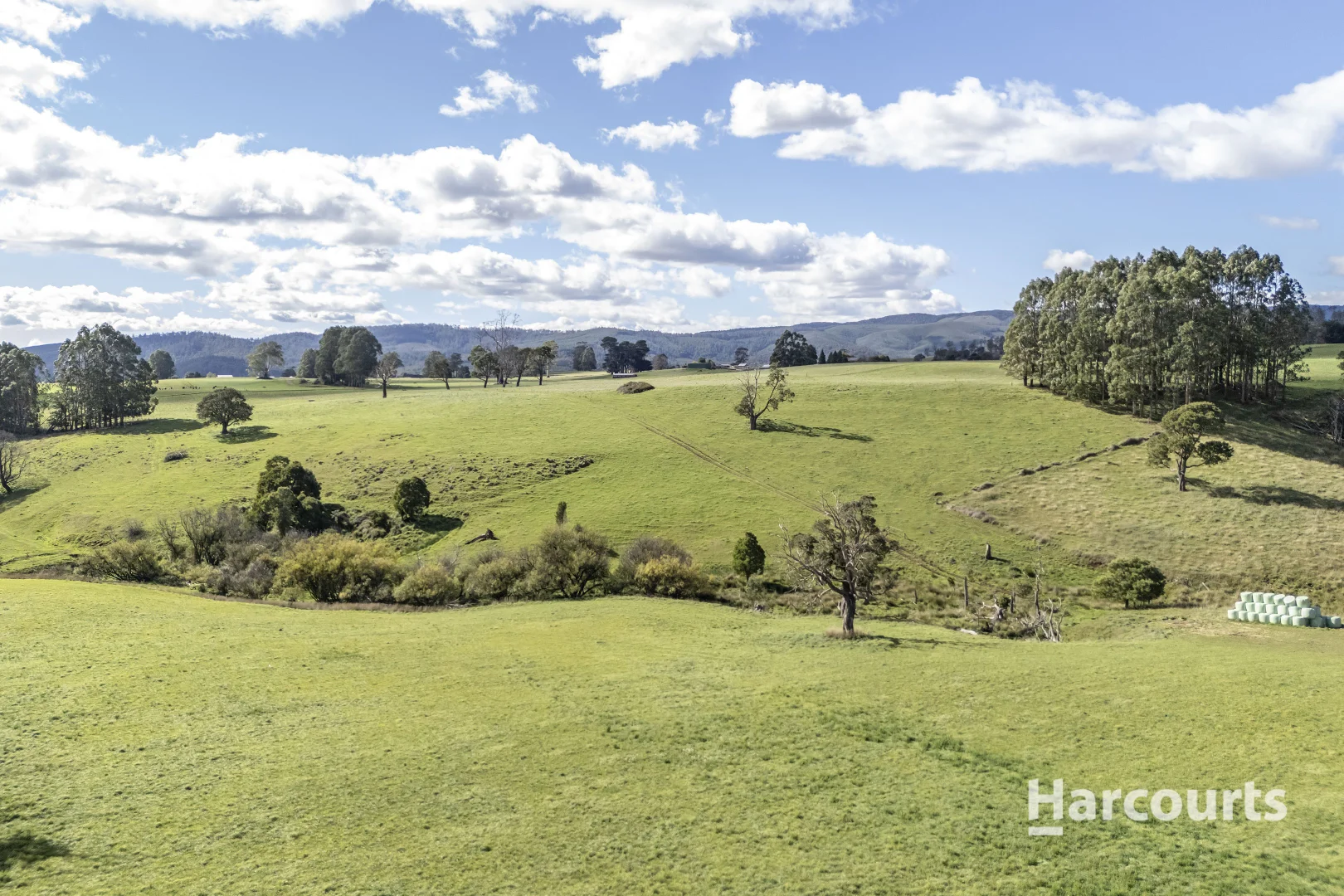Additional image 39 of 214 Mathinna Plains Road, Ringarooma TAS 7263