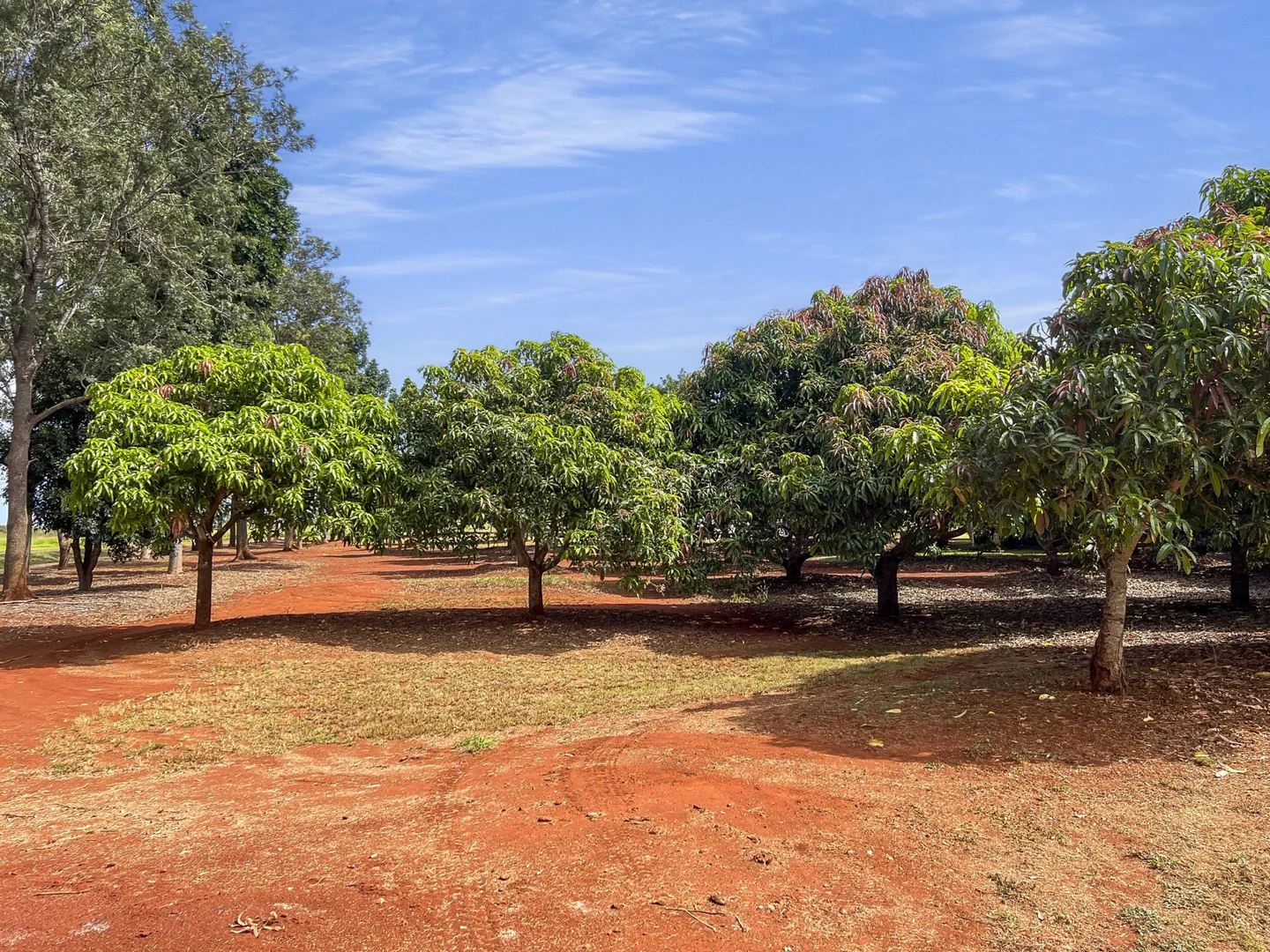 Additional image 18 of Lot 2 Birds Road, Tingoora QLD 4608
