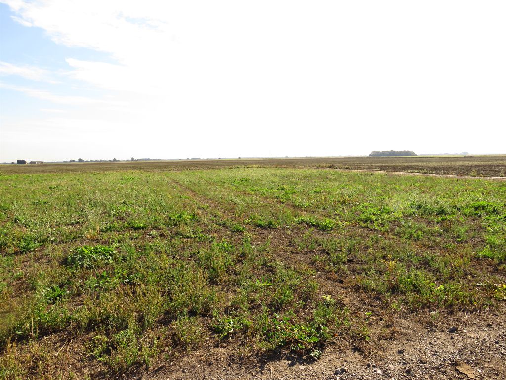 Additional image 6 of Land for saleWhittlesey Road, March PE15