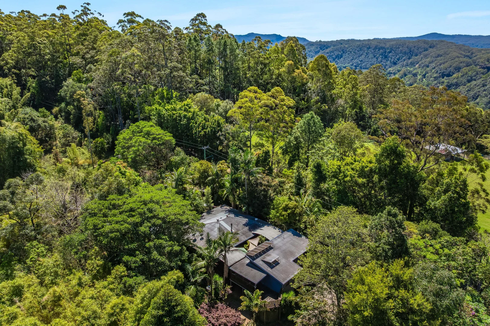 Additional image 9 of 89 Rose Road, Tuntable Creek NSW 2480