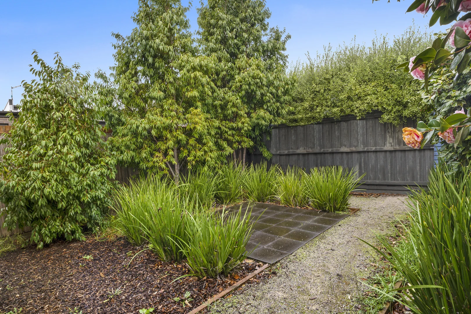 Additional image 5 of 2/3 Walter Street, East Geelong VIC 3219