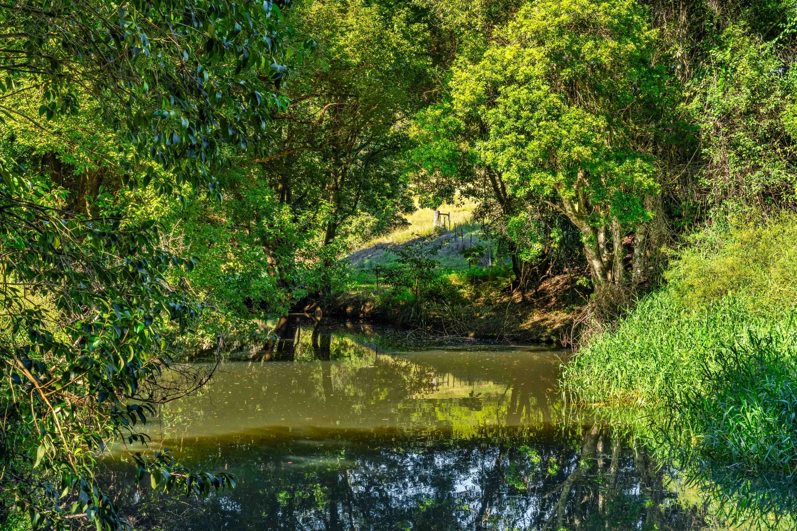 Additional image 14 of 222 Hewitt Road, Booerie Creek NSW 2480