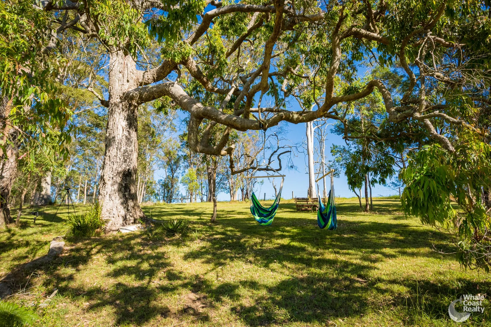 Additional image 19 of 352 Bodalla Park Drive, Bodalla NSW 2545