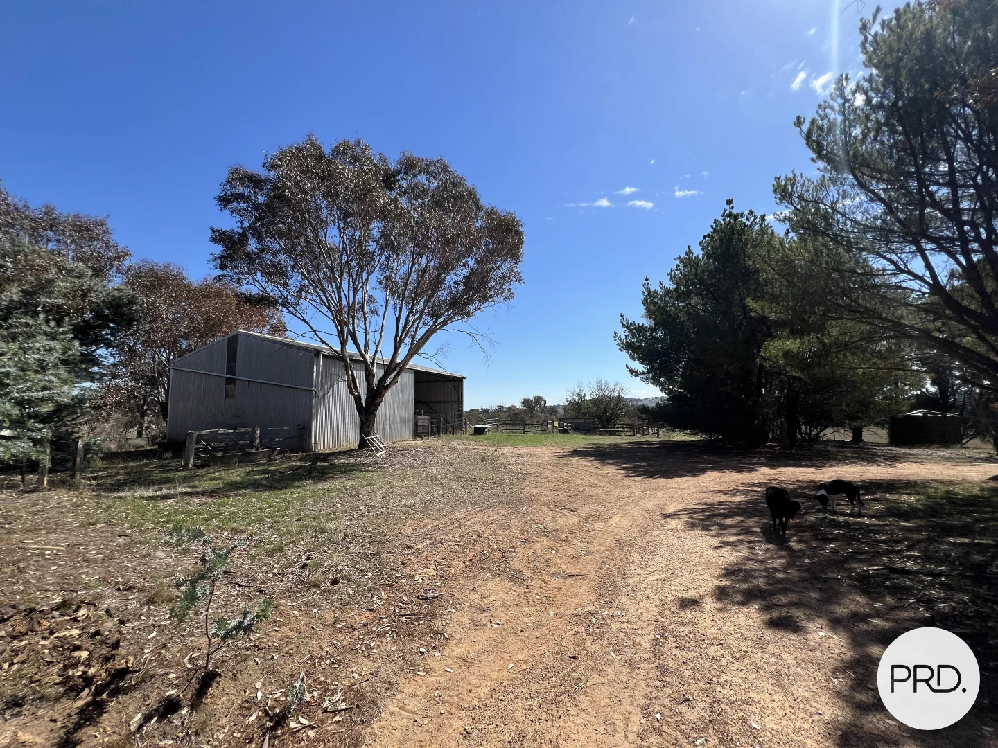 Additional image 26 of 523 Nanima Road, Springrange NSW 2618