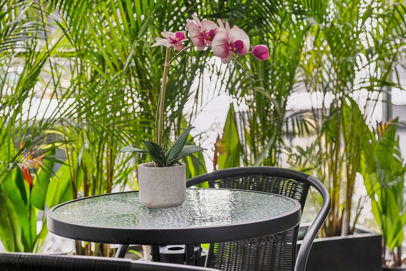Additional image 7 of 32/15-21 Mindarie Street, Lane Cove NSW 2066