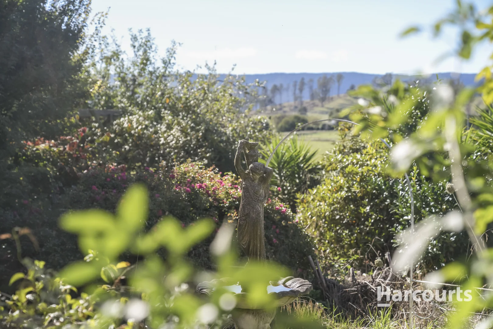 Additional image 43 of 214 Mathinna Plains Road, Ringarooma TAS 7263