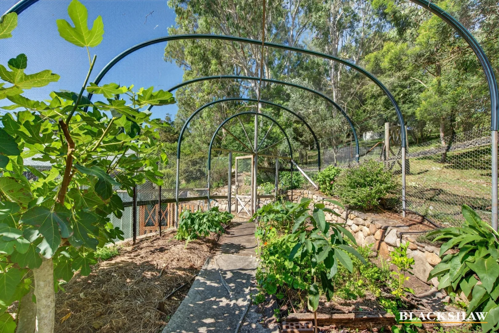 Additional image 24 of 157 Francis Street, Moruya NSW 2537