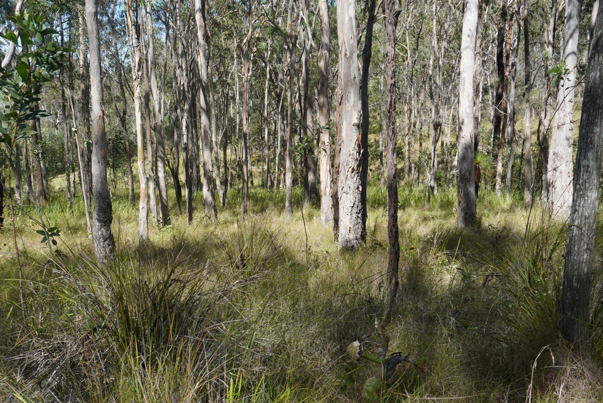 Additional image 43 of 619 Bulldog Road, Bulldog NSW 2469