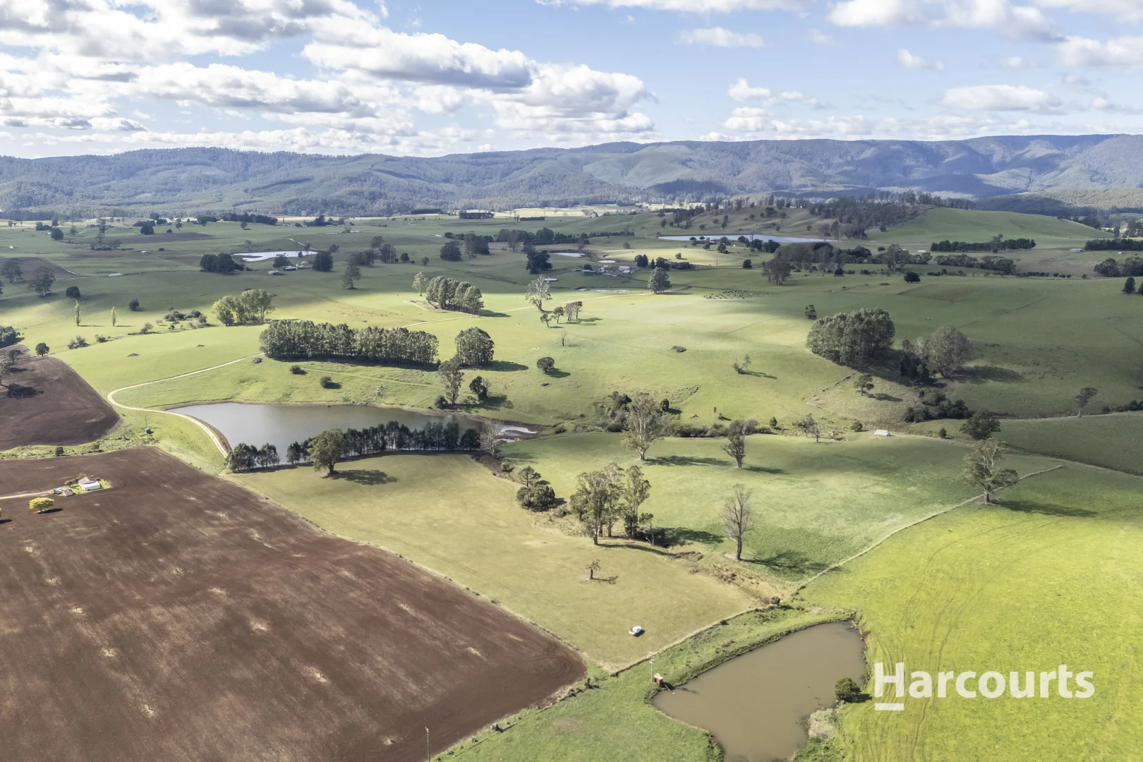 Additional image 33 of 214 Mathinna Plains Road, Ringarooma TAS 7263