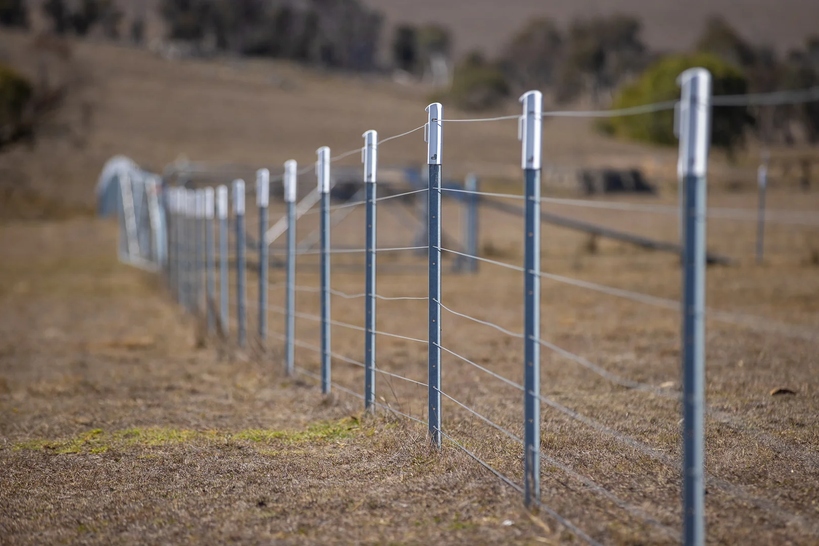 Additional image 15 of "Abermala Homestead" Enmore Road, Uralla NSW 2358