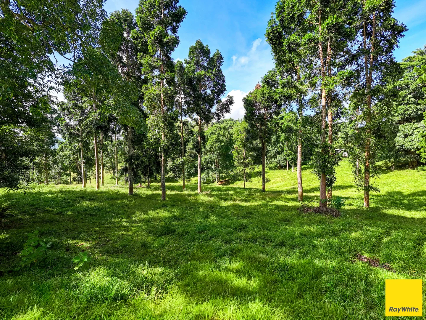 Additional image 10 of 2071 Palmerston Highway, East Palmerston QLD 4860