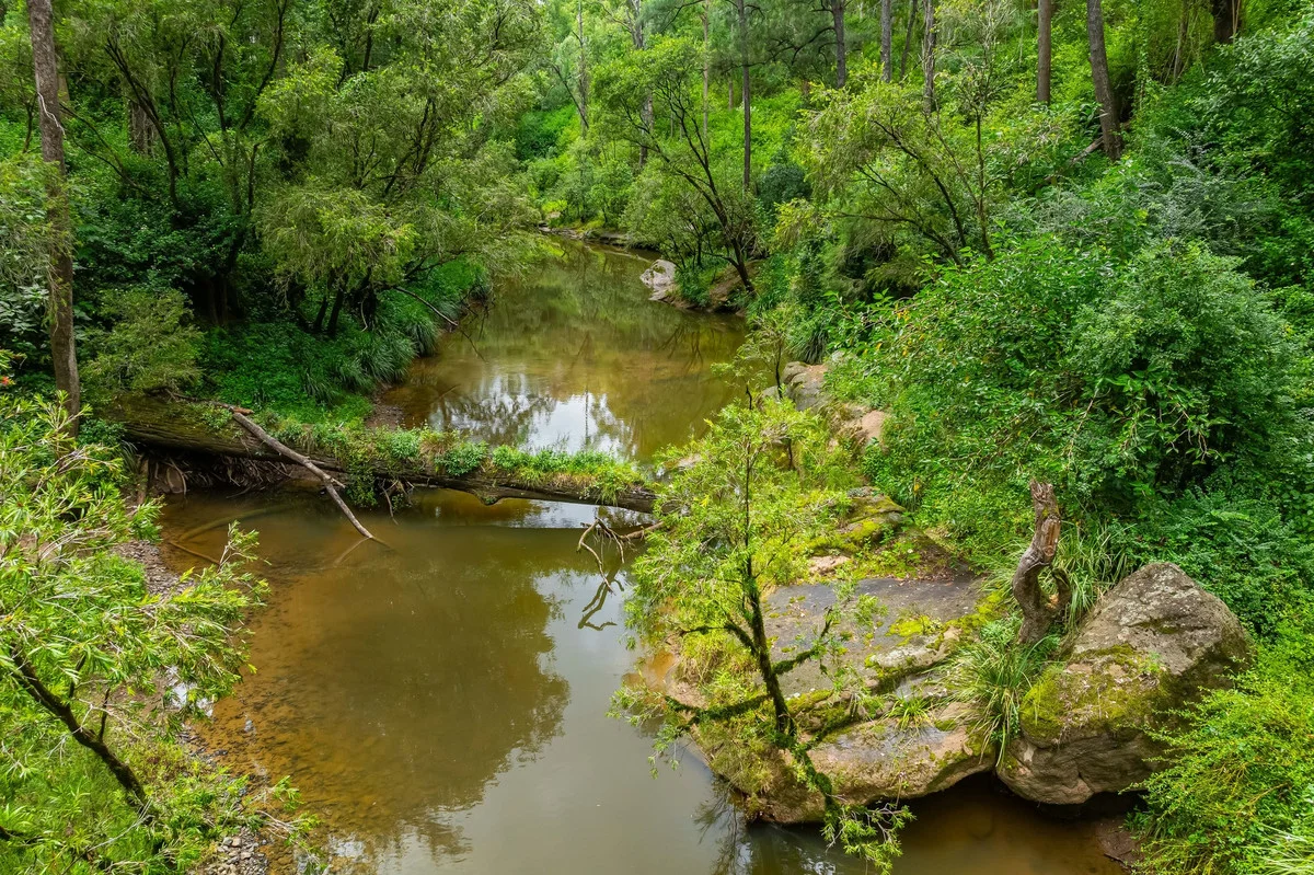 18 Ryans Road, Bonalbo NSW 2469