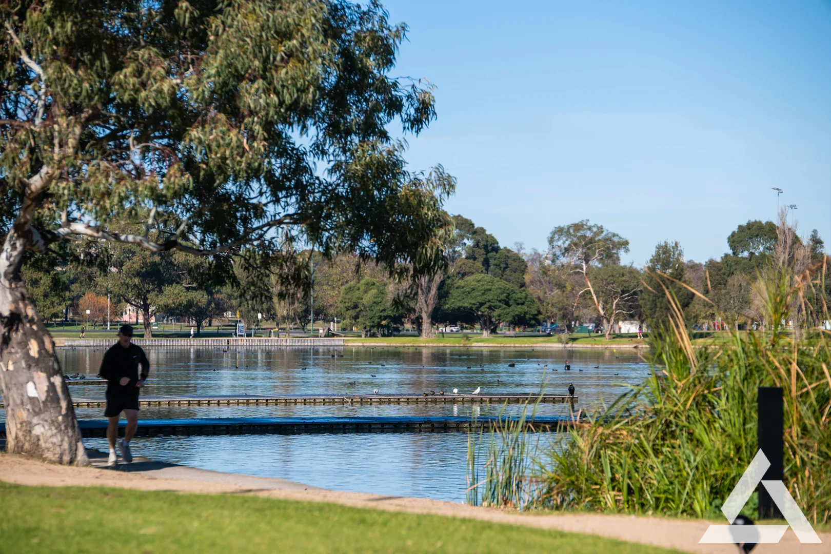 Additional image 5 of 903/452 St Kilda Road, Melbourne VIC 3004