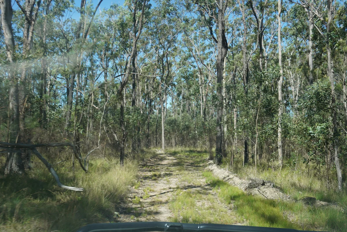 Additional image 28 of 619 Bulldog Road, Bulldog NSW 2469