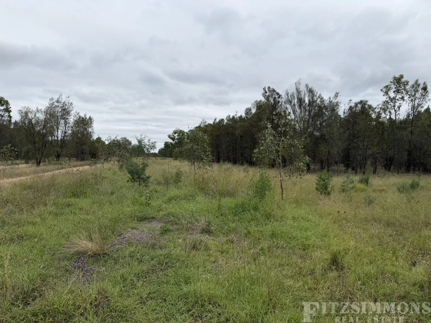 Additional image 3 of Ducklo QLD 4405