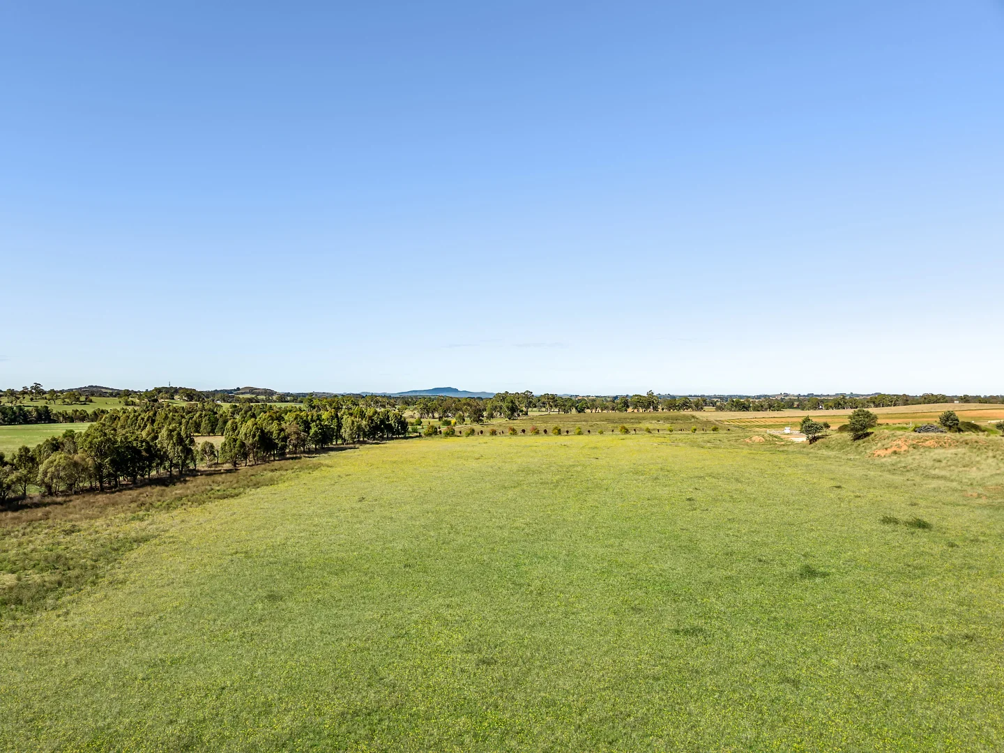 Additional image 8 of 269 Spring Hill Road, Spring Hill NSW 2800