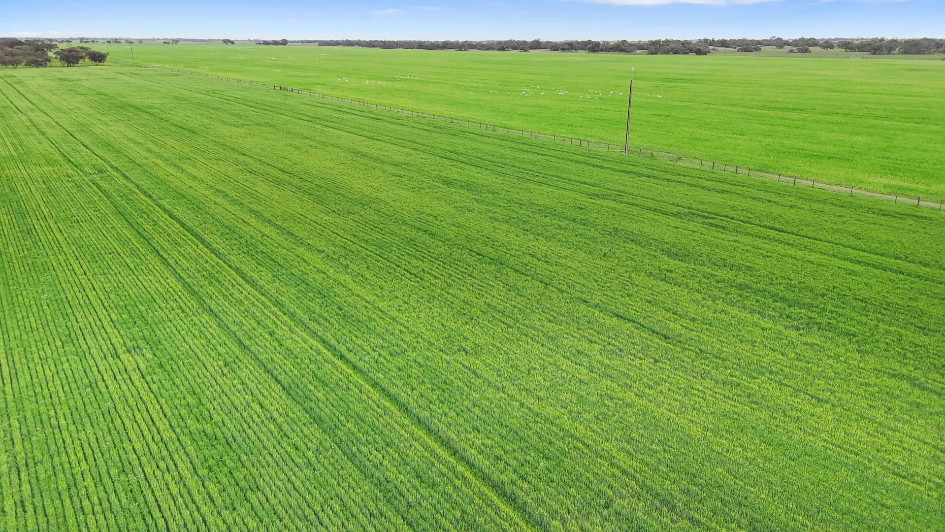 Additional image 2 of 1412 Red Bluff Road, Bordertown SA 5268
