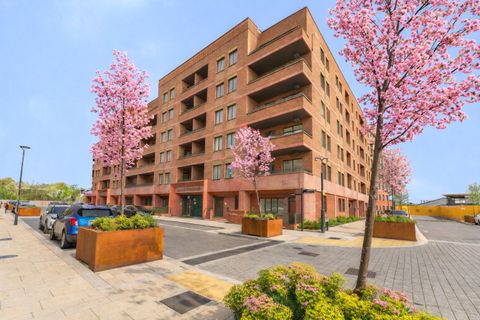 Oxeye Way, London N18, New home