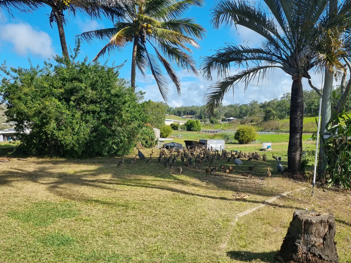 Additional image 13 of Alligator Creek QLD 4740