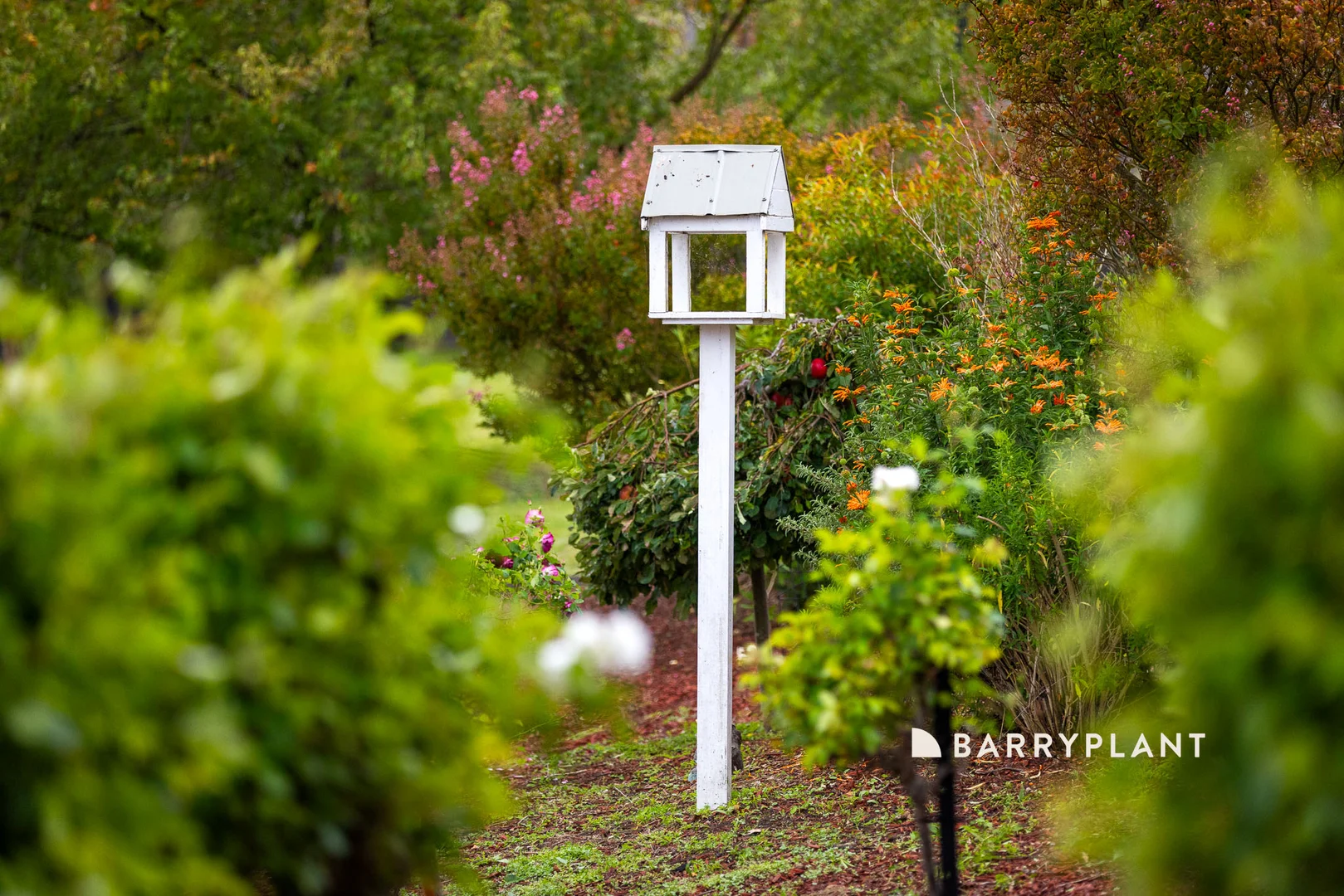 Additional image 27 of 10 Patison Court, Drouin VIC 3818