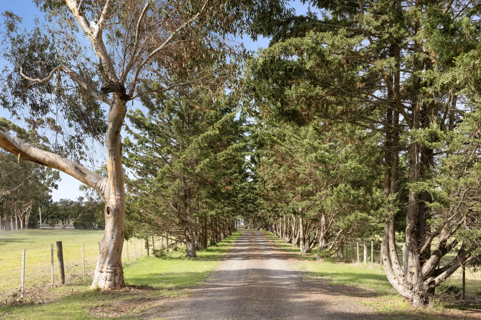 Additional image 25 of 1545 Mickleham Road, Yuroke VIC 3063