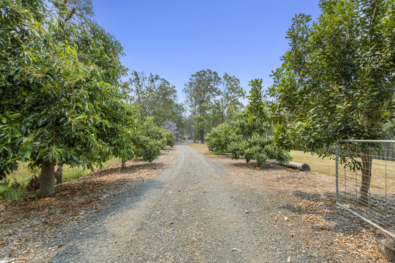 Additional image 18 of 128 Birnam Range Road, Beaudesert QLD 4285