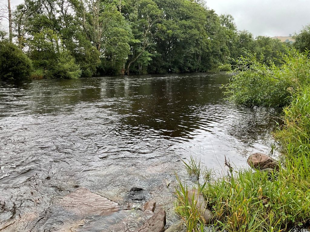 Additional image 8 of Land for saleRiver South Esk, Finavon, Angus DD8