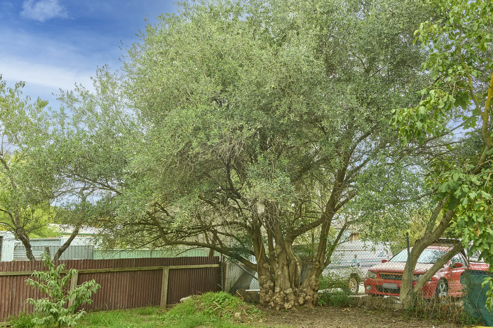 Additional image 14 of 15 Playne Street, Heathcote VIC 3523