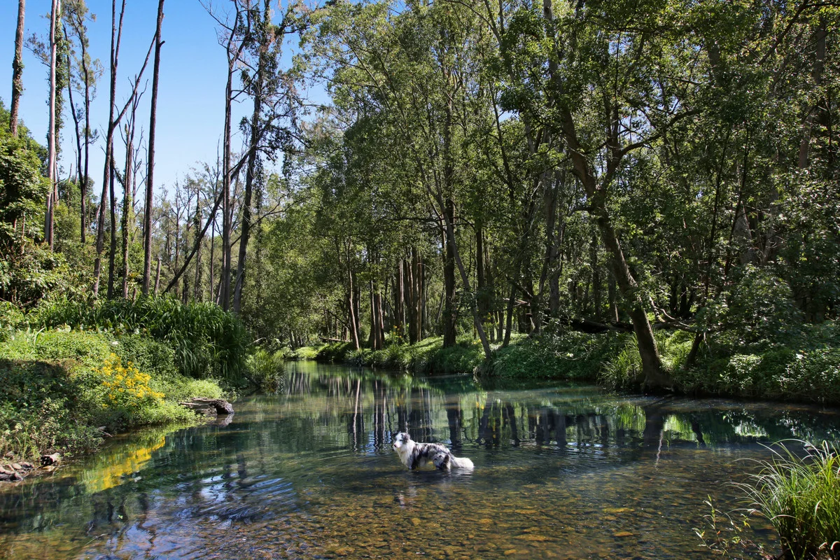 Additional image 11 of 52B Syndicate Road, Tallebudgera Valley QLD 4228