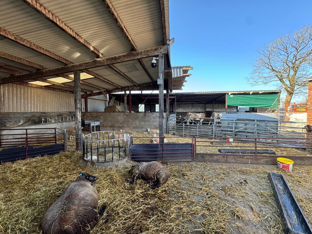Additional image 42 of 4 bed farm for salePonthirwaun, Cardigan SA43