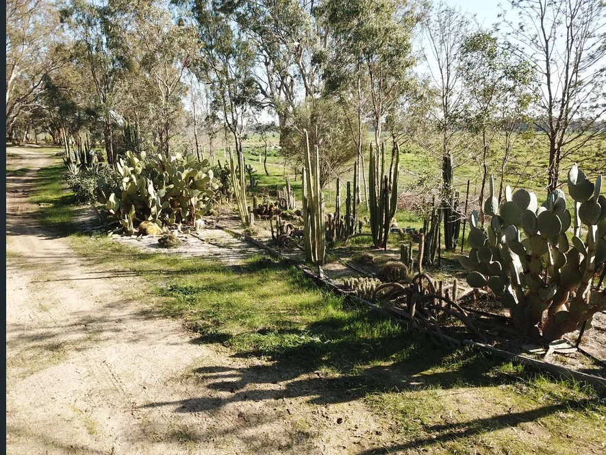 Additional image 28 of 478 Williams Road, Strathmerton VIC 3641