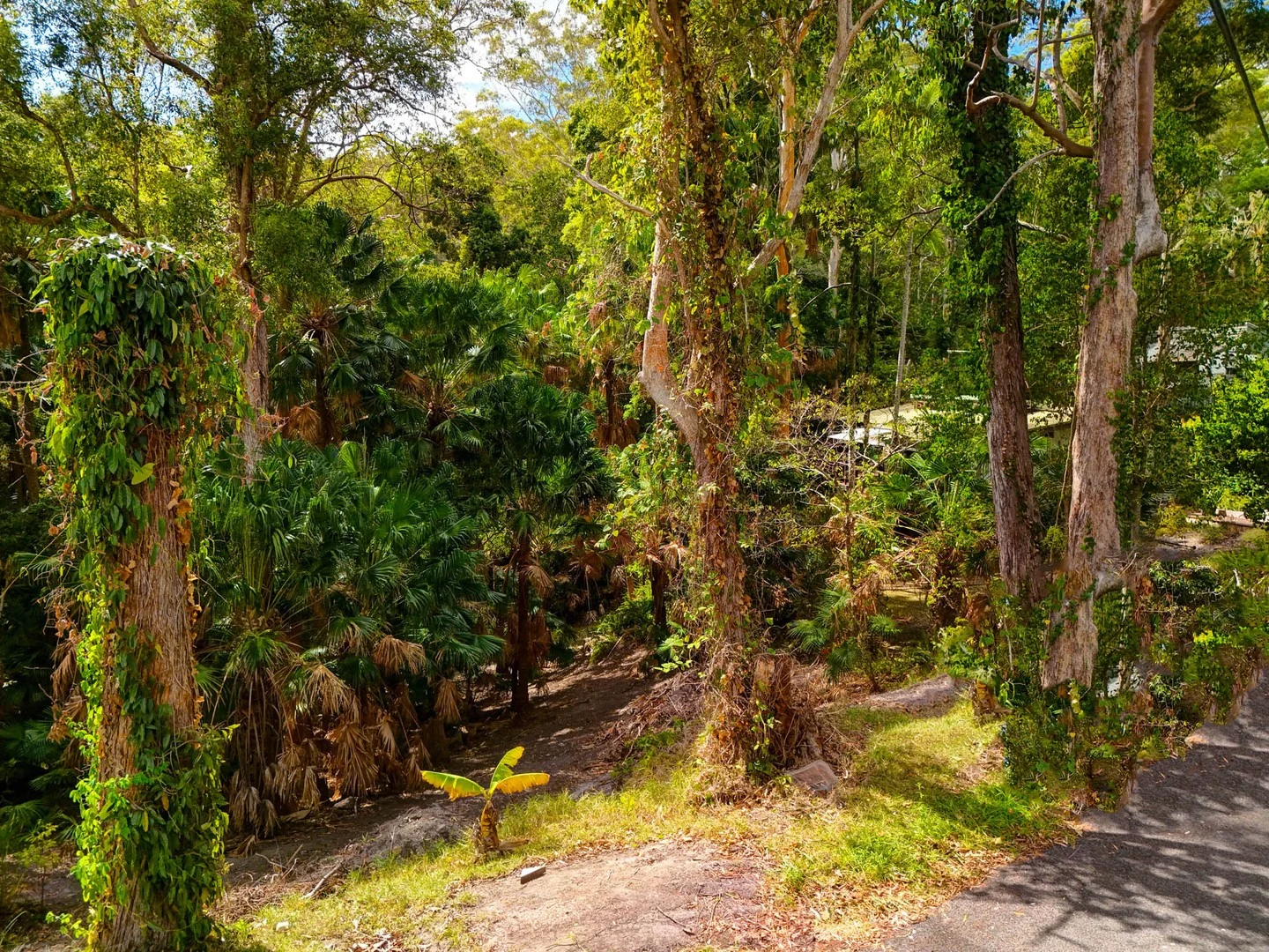 33 Keith Crescent, Smiths Lake NSW 2428