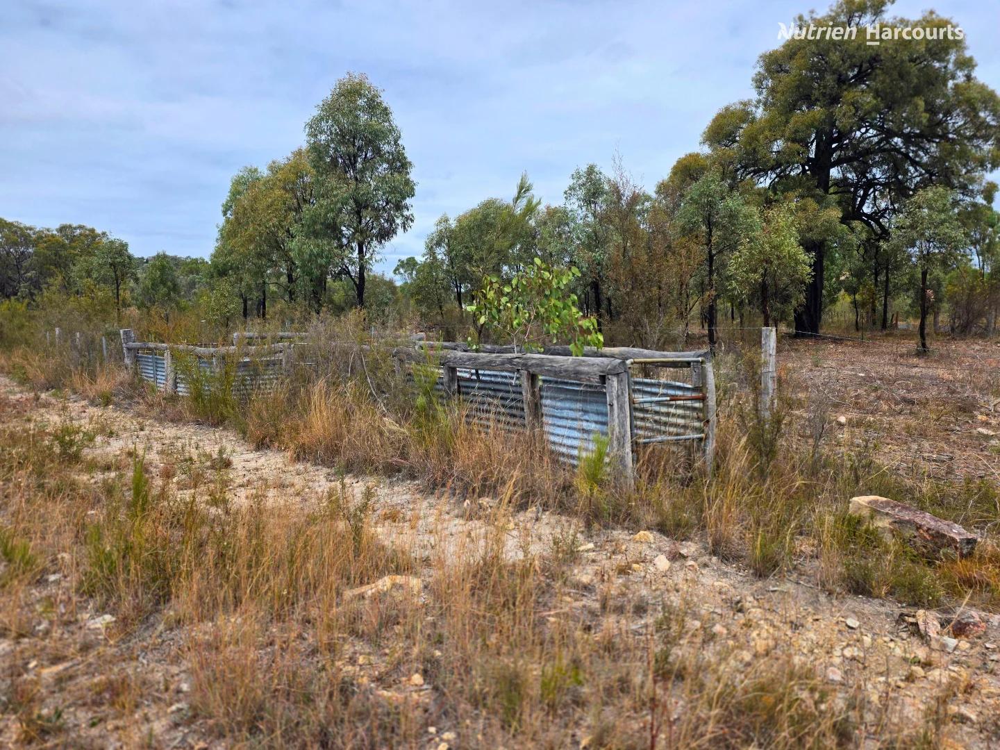 Additional image 18 of 296 Gulf Road, Emmaville NSW 2371