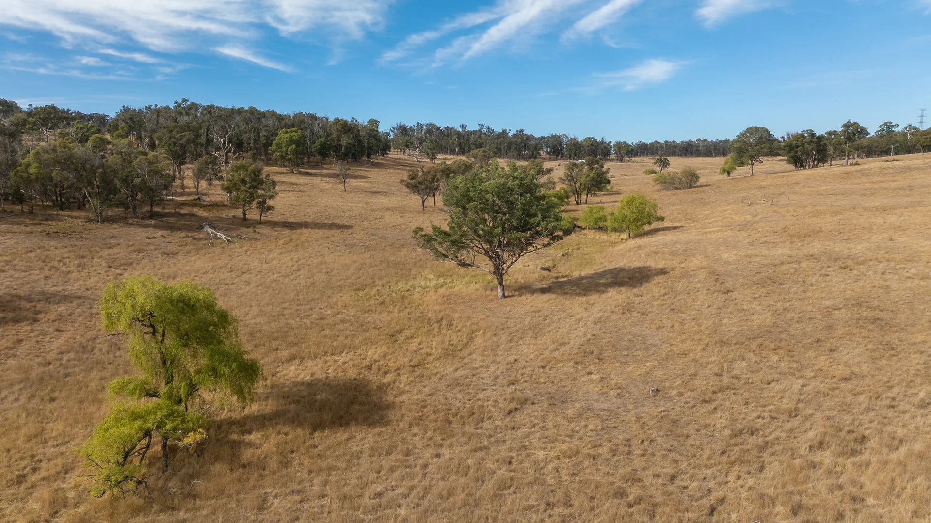 Additional image 23 of "Rose Valley" 379 Toms Gully Road, Black Mountain NSW 2365