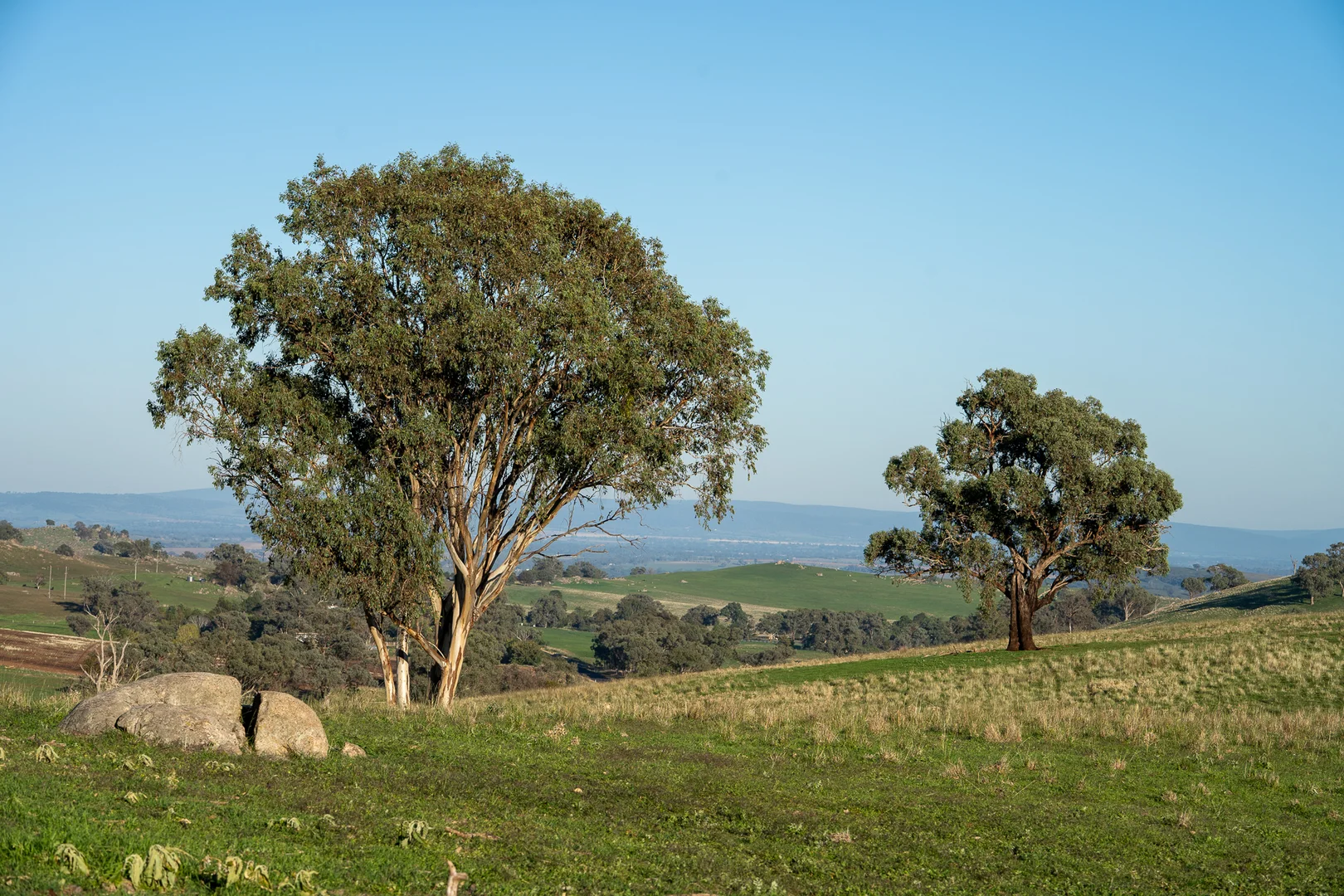 Additional image 16 of 1629 Darby Falls Road, Cowra NSW 2794