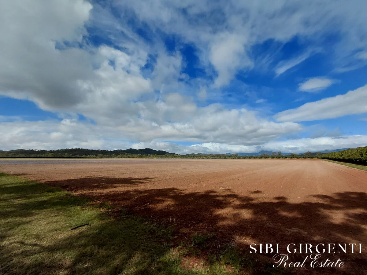 Additional image 9 of 262 Gilmore Road, Mareeba QLD 4880